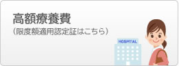 医療費が高額になるとき